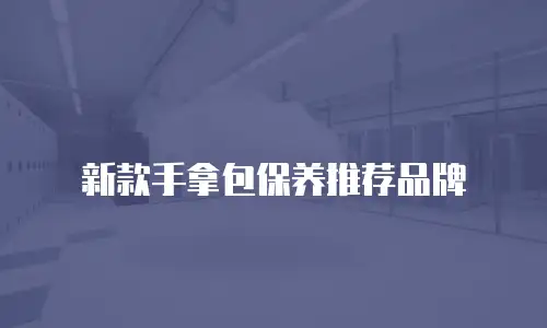 新款手拿包保养推荐品牌