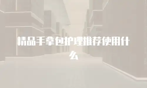 精品手拿包护理推荐使用什么