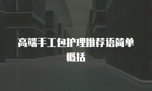 高端手工包护理推荐语简单概括