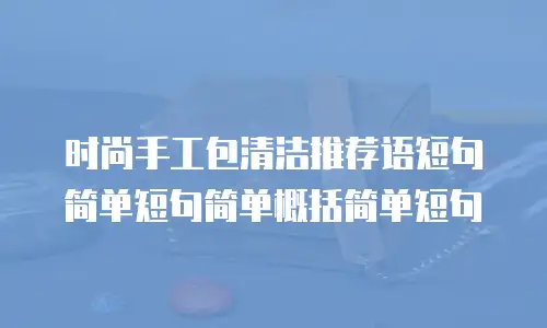 时尚手工包清洁推荐语短句简单短句简单概括简单短句