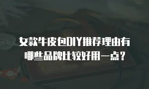 女款牛皮包DIY推荐理由有哪些品牌比较好用一点？