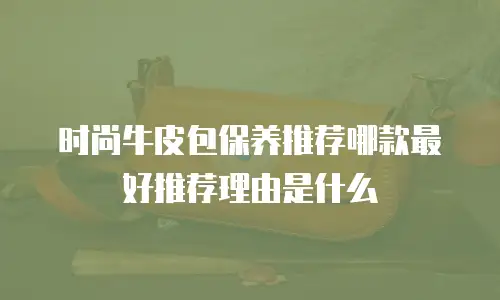 时尚牛皮包保养推荐哪款最好推荐理由是什么