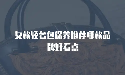女款轻奢包保养推荐哪款品牌好看点
