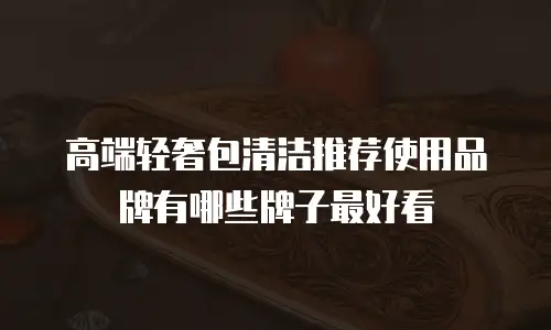 高端轻奢包清洁推荐使用品牌有哪些牌子最好看