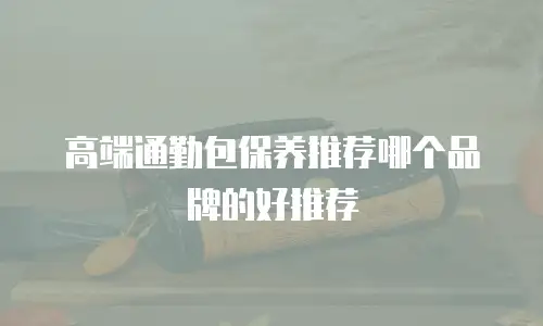高端通勤包保养推荐哪个品牌的好推荐