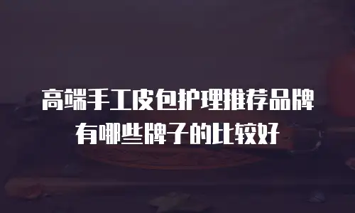 高端手工皮包护理推荐品牌有哪些牌子的比较好