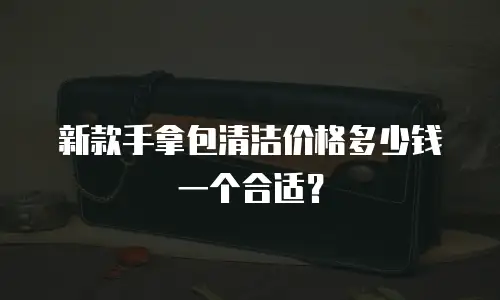 新款手拿包清洁价格多少钱一个合适？