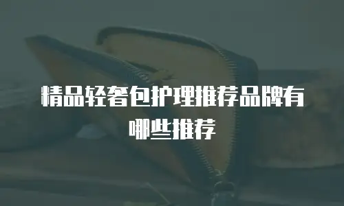 精品轻奢包护理推荐品牌有哪些推荐