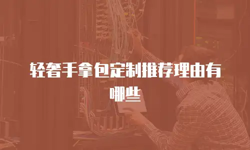轻奢手拿包定制推荐理由有哪些