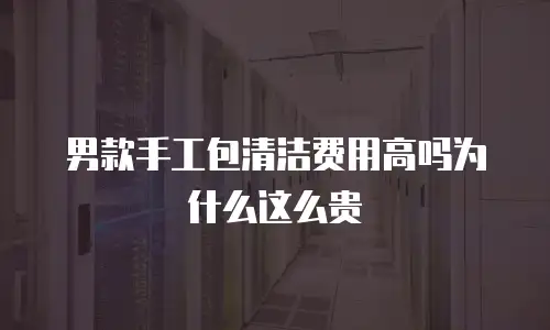 男款手工包清洁费用高吗为什么这么贵