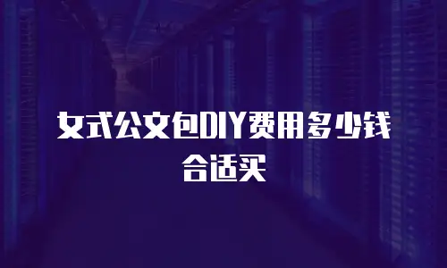 女式公文包DIY费用多少钱合适买