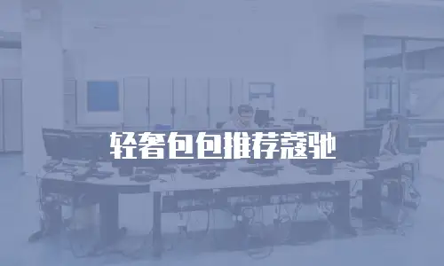 轻奢包包推荐蔻驰
