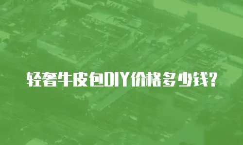 轻奢牛皮包DIY价格多少钱？