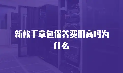 新款手拿包保养费用高吗为什么