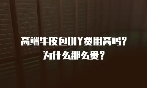 高端牛皮包DIY费用高吗？为什么那么贵？