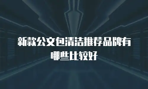 新款公文包清洁推荐品牌有哪些比较好