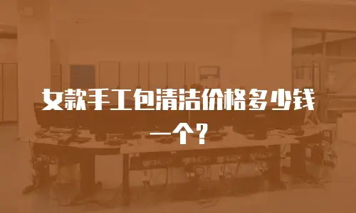 女款手工包清洁价格多少钱一个？