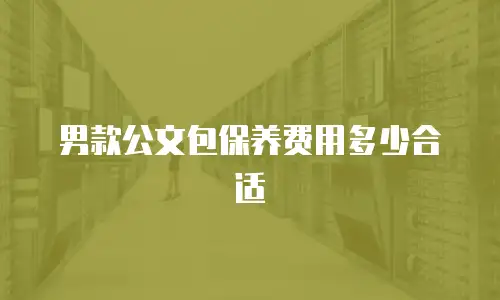 男款公文包保养费用多少合适