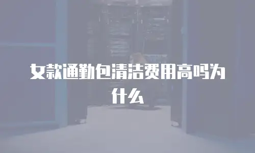 女款通勤包清洁费用高吗为什么