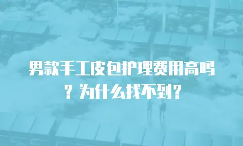 男款手工皮包护理费用高吗？为什么找不到？