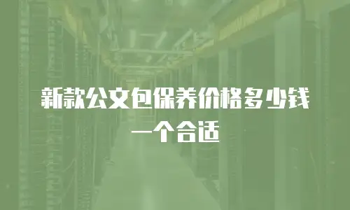 新款公文包保养价格多少钱一个合适