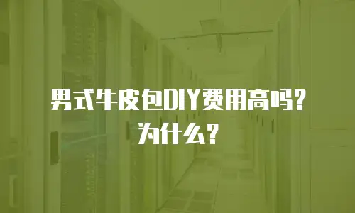 男式牛皮包DIY费用高吗？为什么？