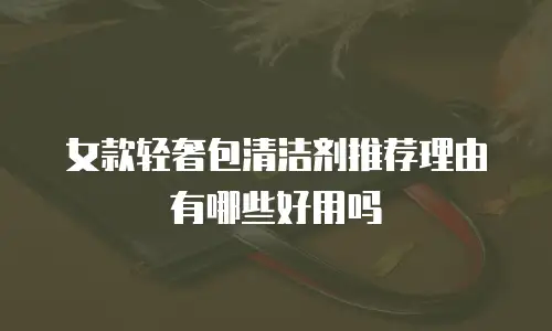 女款轻奢包清洁剂推荐理由有哪些好用吗