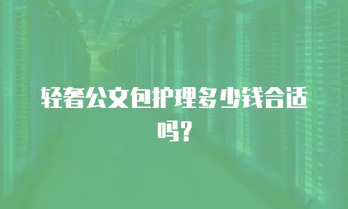 轻奢公文包护理多少钱合适吗？
