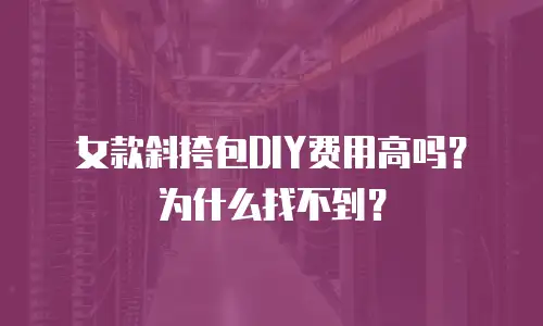 女款斜挎包DIY费用高吗？为什么找不到？