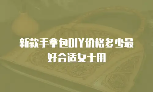 新款手拿包DIY价格多少最好合适女士用
