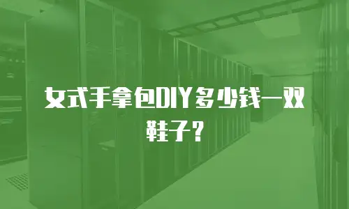 女式手拿包DIY多少钱一双鞋子？