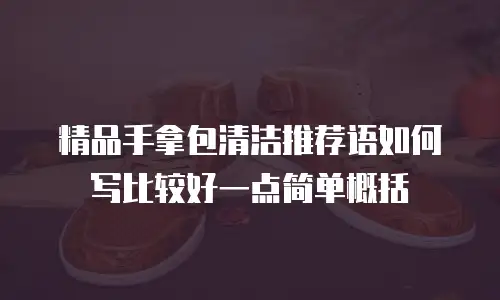 精品手拿包清洁推荐语如何写比较好一点简单概括