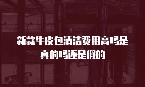 新款牛皮包清洁费用高吗是真的吗还是假的