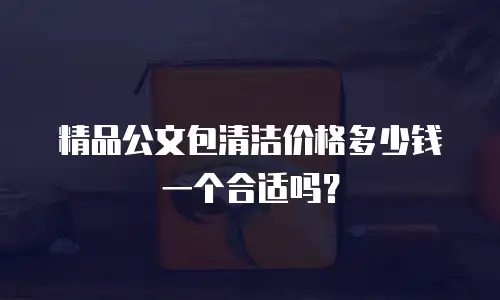 精品公文包清洁价格多少钱一个合适吗？