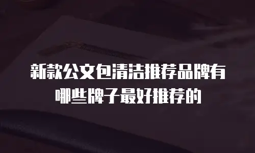 新款公文包清洁推荐品牌有哪些牌子最好推荐的