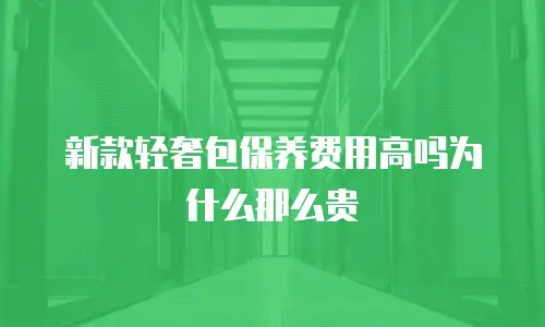 新款轻奢包保养费用高吗为什么那么贵