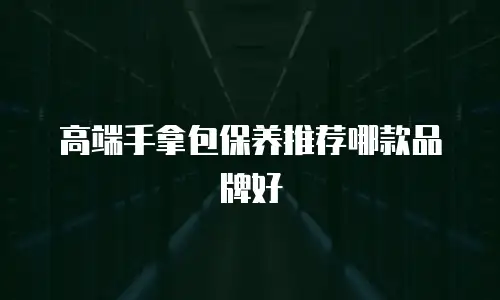 高端手拿包保养推荐哪款品牌好