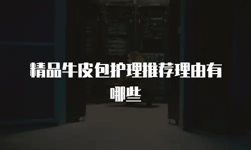 精品牛皮包护理推荐理由有哪些
