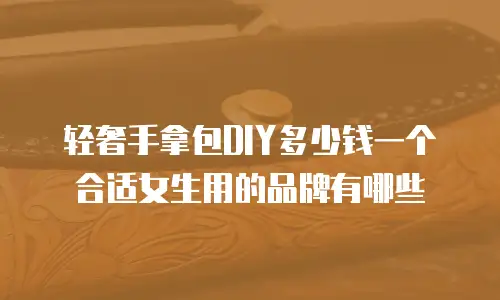 轻奢手拿包DIY多少钱一个合适女生用的品牌有哪些