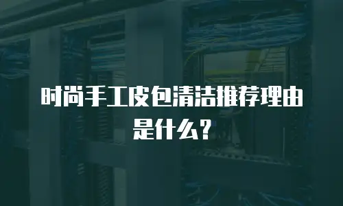 时尚手工皮包清洁推荐理由是什么？