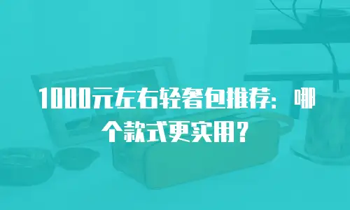 1000元左右轻奢包推荐：哪个款式更实用？