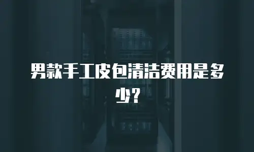 男款手工皮包清洁费用是多少？