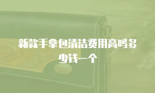 新款手拿包清洁费用高吗多少钱一个