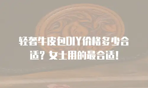轻奢牛皮包DIY价格多少合适？女士用的最合适！