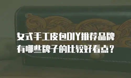 女式手工皮包DIY推荐品牌有哪些牌子的比较好看点？
