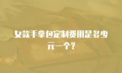 女款手拿包定制费用是多少元一个？