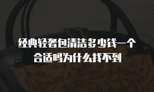 经典轻奢包清洁多少钱一个合适吗为什么找不到