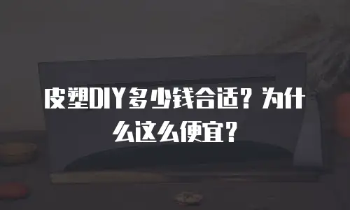 皮塑DIY多少钱合适？为什么这么便宜？