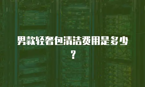 男款轻奢包清洁费用是多少？