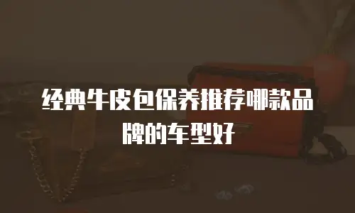 经典牛皮包保养推荐哪款品牌的车型好